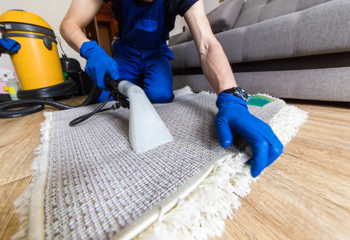 Best Carpet Cleaning Services in Greensboro NC Area