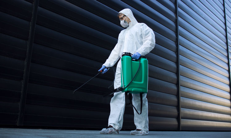 Targeting Pests, Attracting Clients: Effective Strategies for Generating Pest Control Leads